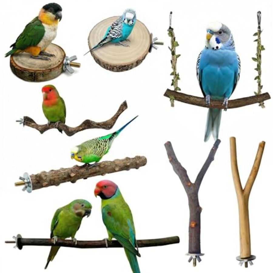 Health & Wellness Lubbock - 8 Stück Vogelsitzstangen aus Naturholz für