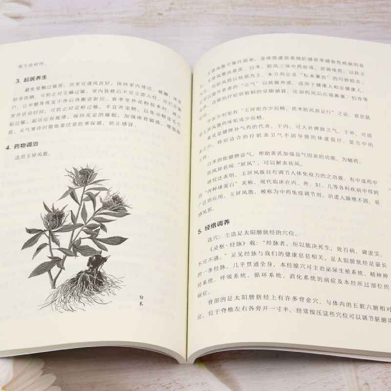 TCM Body Constitution Types Bu – Health Wellness Guide Bewertung und Preis