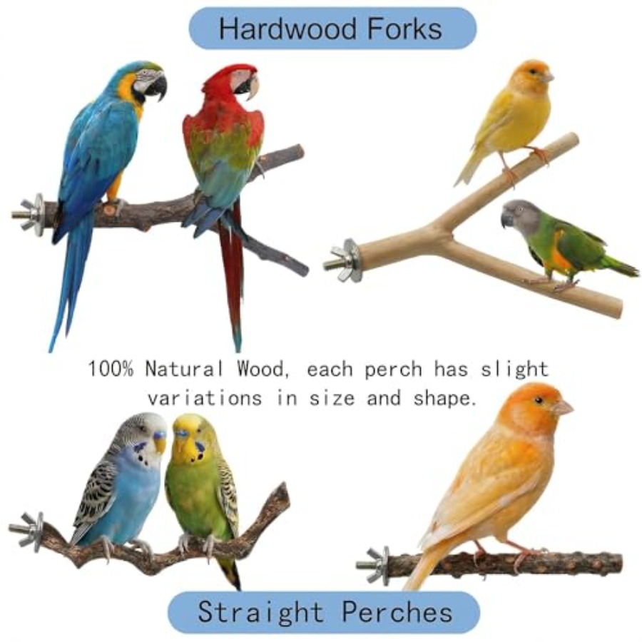 8 Stück Vogelsitzstangen aus N – Health & Wellness Lubbock Bewertung und Preis
