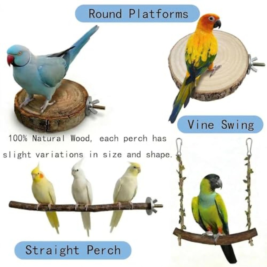 8 Stück Vogelsitzstangen aus N – Health & Wellness Lubbock Bewertung und Preis
