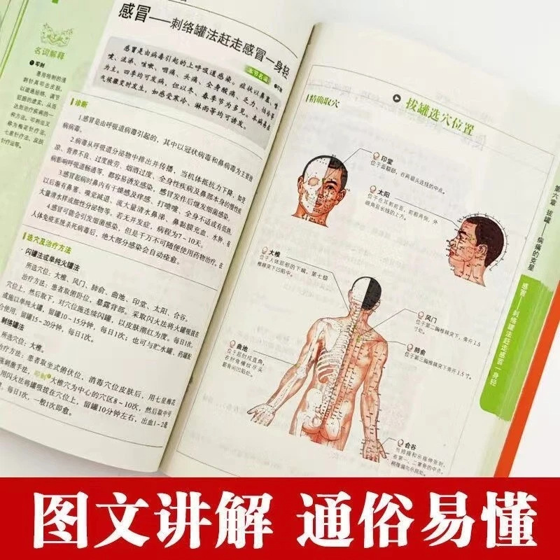 Ganzheitliche Gesundheits- und – Health Wellness Guide Bewertung und Preis