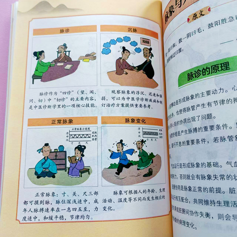 Komikführer zum Huangdi Neijin – Health Wellness Guide Bewertung und Preis
